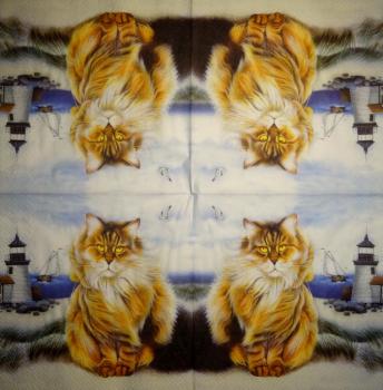 299 Katzen - 3-lagig